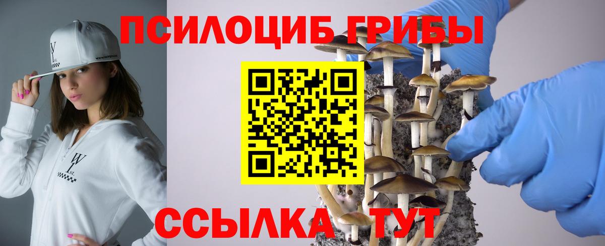 Галлюциногенные грибы Psilocybe  Вход с VPN  Галлюциногенные грибы Psilocybe  Новокубанск 